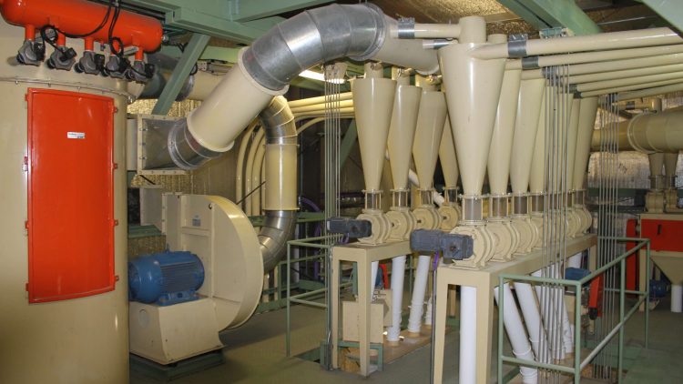 Cyclones-fan-filter pneumatic transport in a flour mill